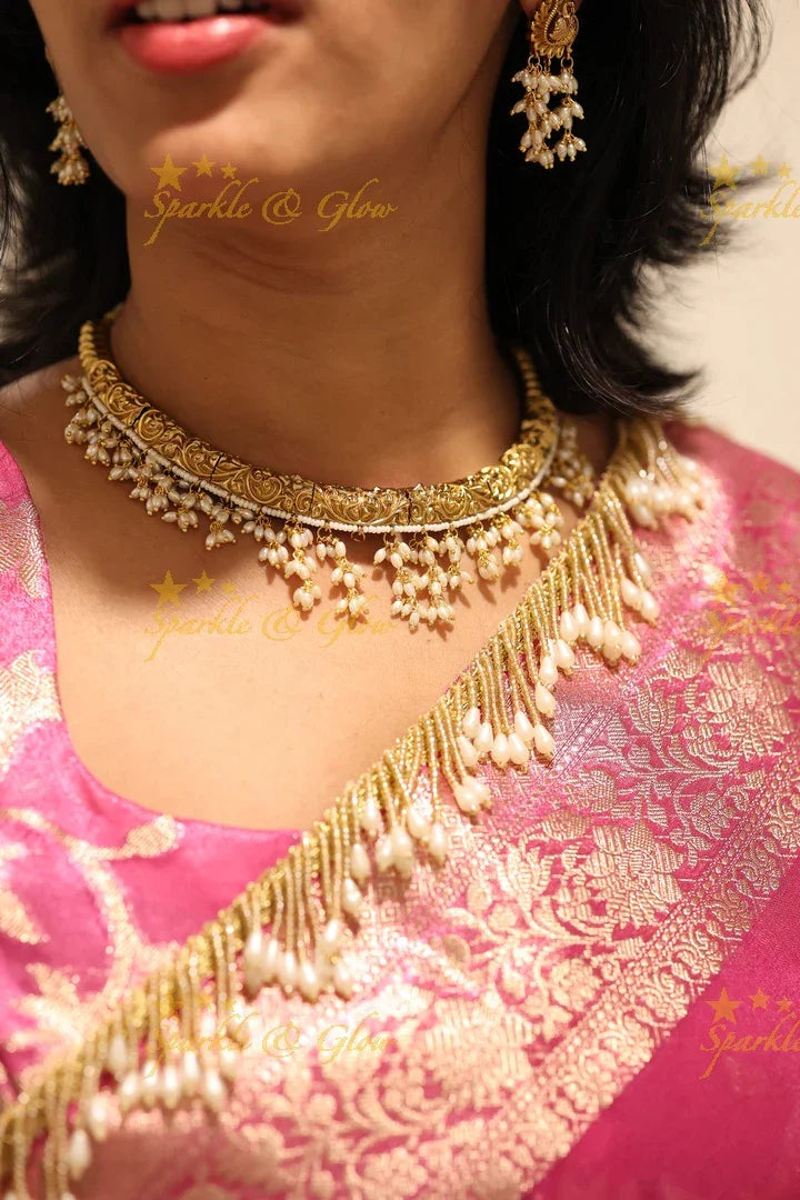 Hot Pink Banarasi Tissue Soft Silk Saree with Golden Zari Border & Fringe Pallu - Sparkle and Glow