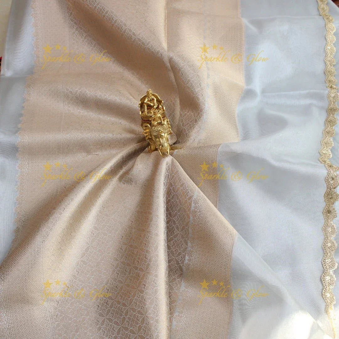 Shraddha Kapoor Inspired Banarasi Tissue saree with lace attach design - Sparkle and Glow