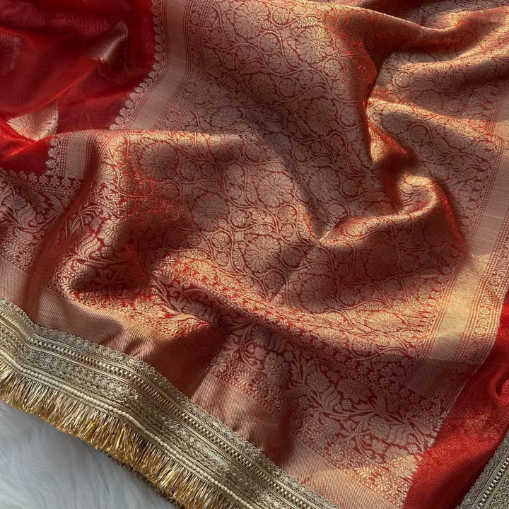 Banarasi tissue Silk saree Gold Zari weaving beautiful lace attached border - Sparkle and Glow