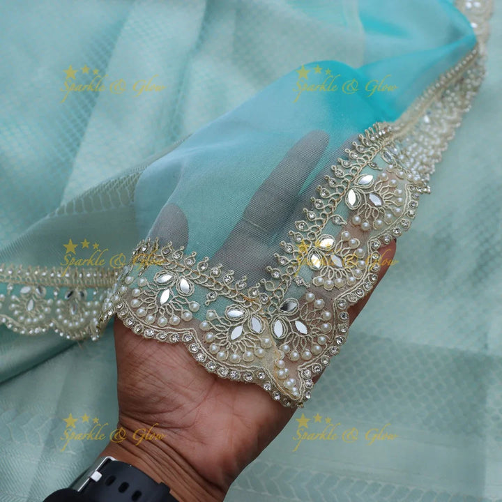Elegant Banarasi Tissue Saree in Sky Blue with Lace Border