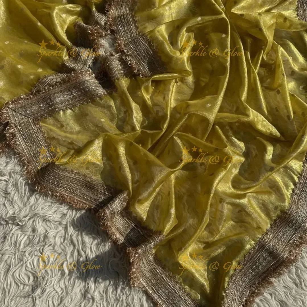 Banarasi Tissue Organza Saree with Gold Zari Border