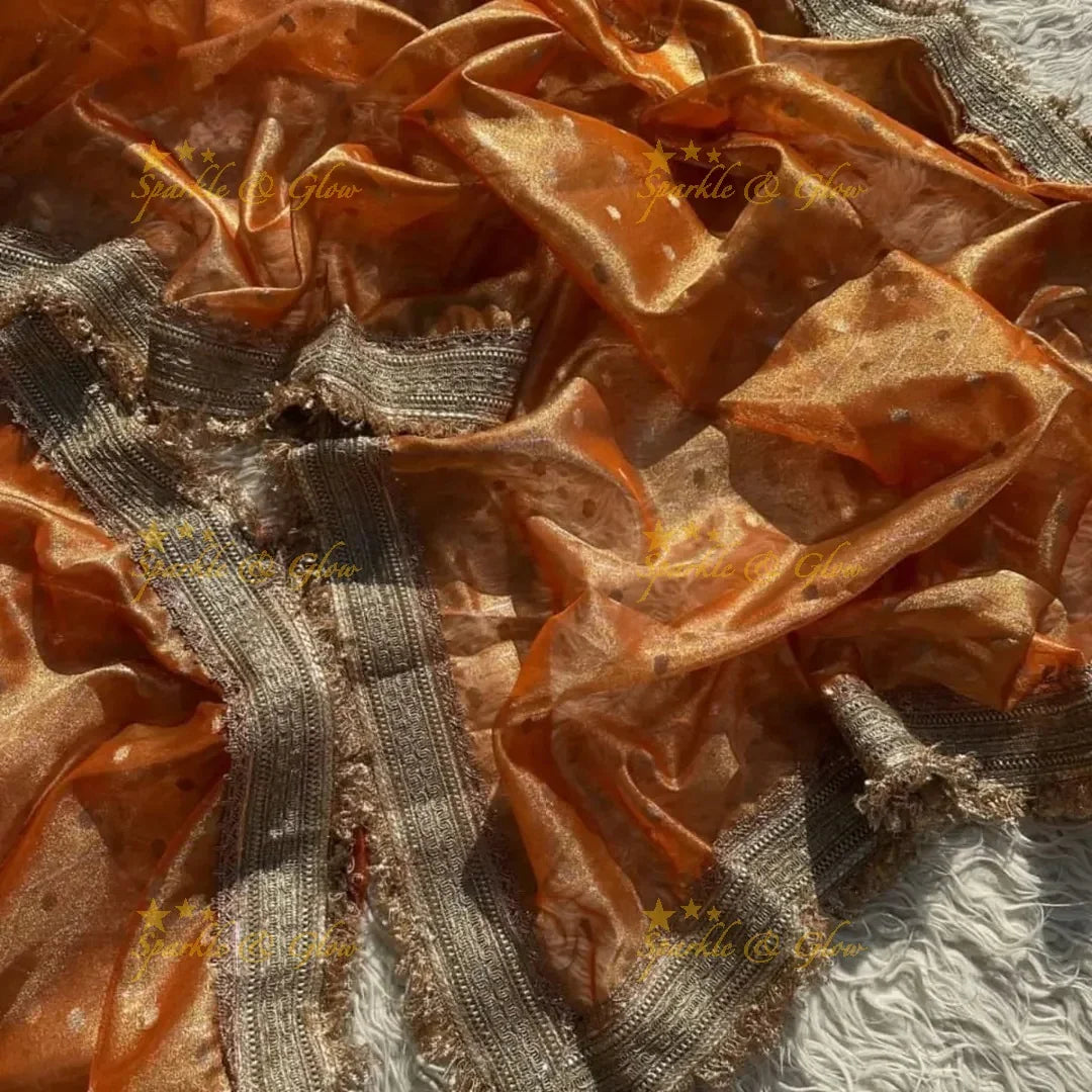 Banarasi Tissue Organza Saree with Gold Zari Border