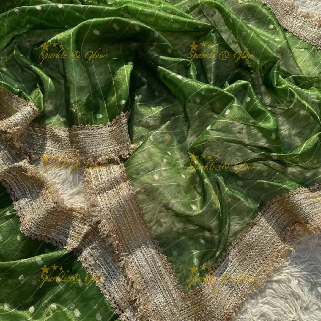 Banarasi Tissue Organza Saree with Gold Zari Border