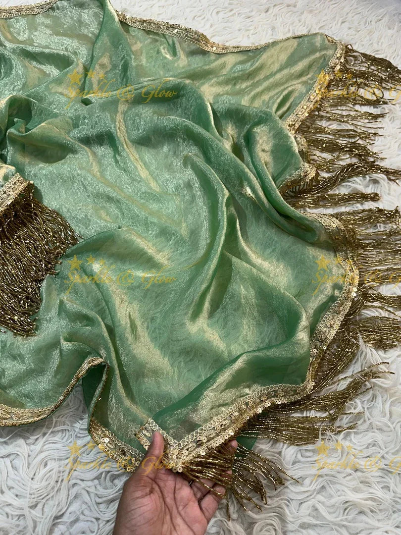 Elegant Banarasi Tissue Silk Saree for Special Occasions