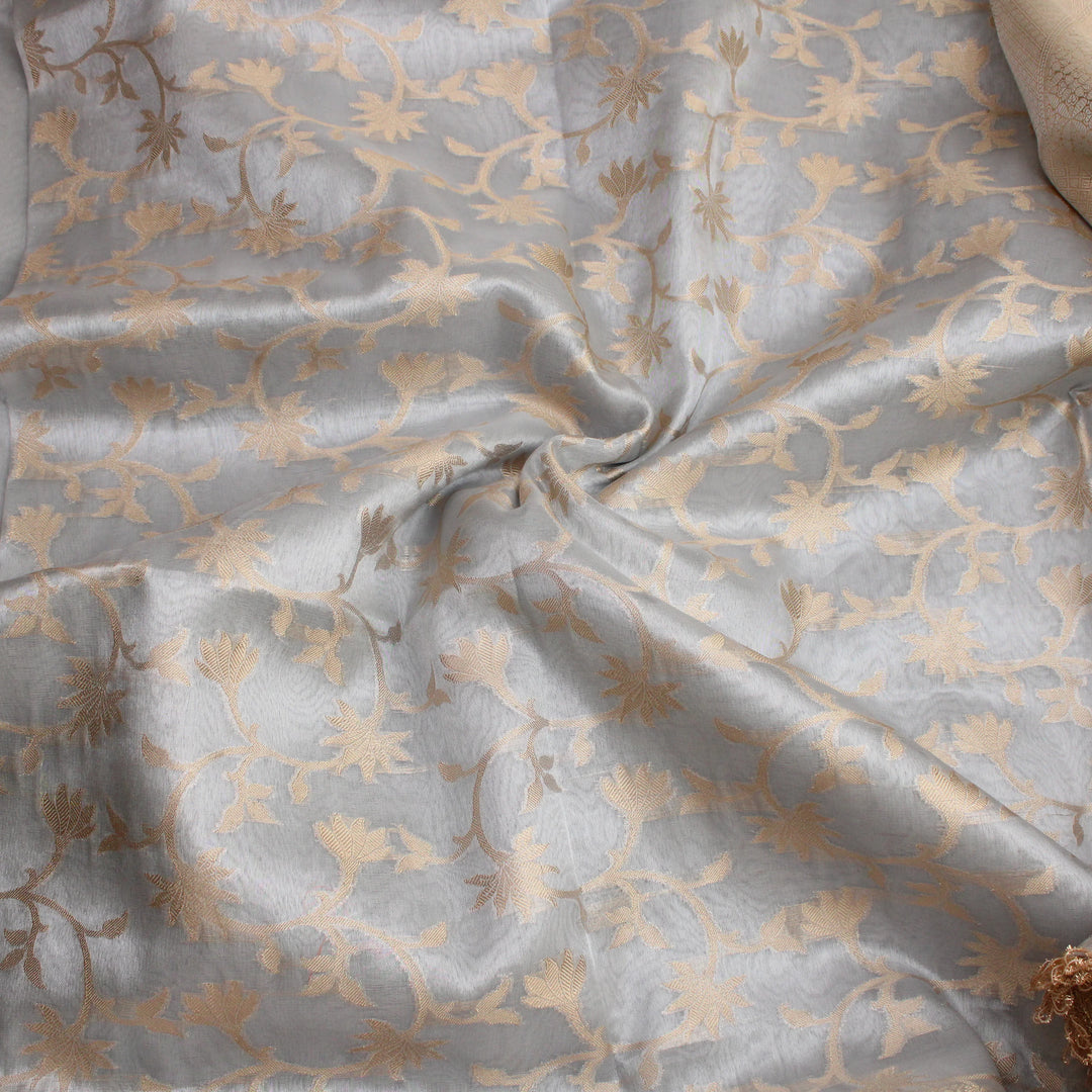 Elegant Grey Banarasi Saree with Golden Embellishments - Sparkle and Glow