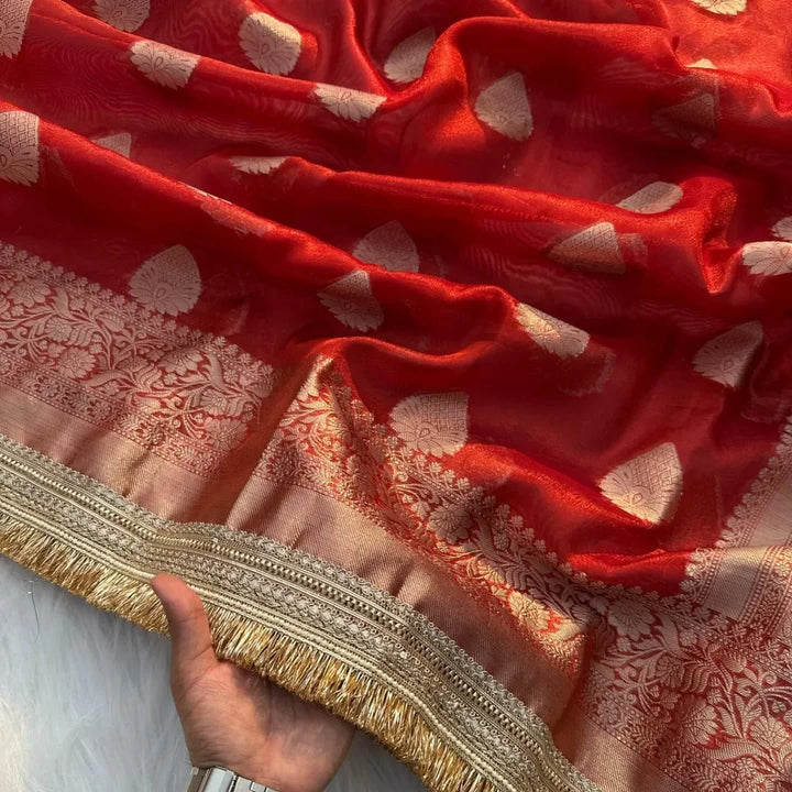 Banarasi tissue Silk saree Gold Zari weaving beautiful lace attached border - Sparkle and Glow