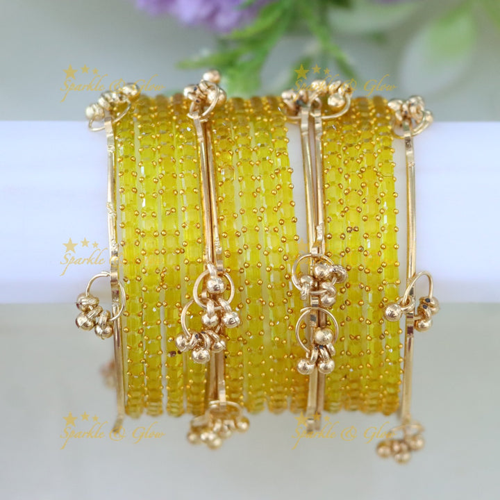 Exquisite Multi-Color Kashmiri Glass Bangle Set