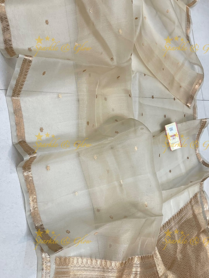 Elegant Banarasi Semi Kora Organza Saree - New Arrival