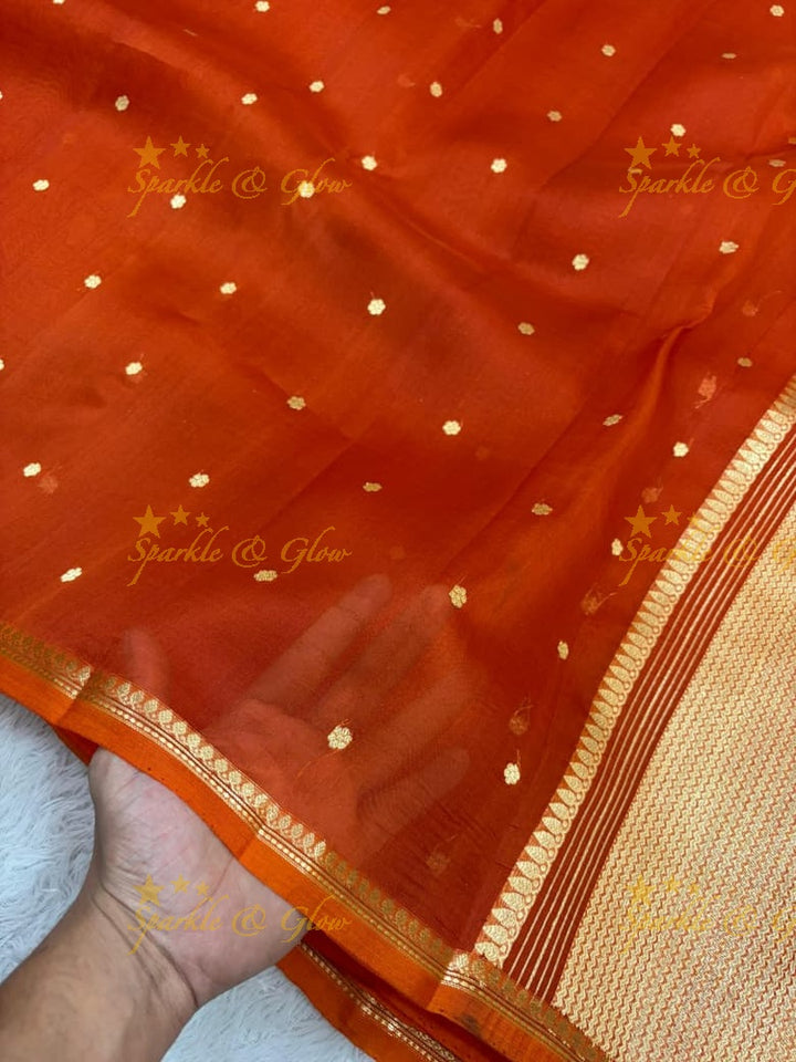 Elegant Banarasi Semi Kora Organza Saree - New Arrival
