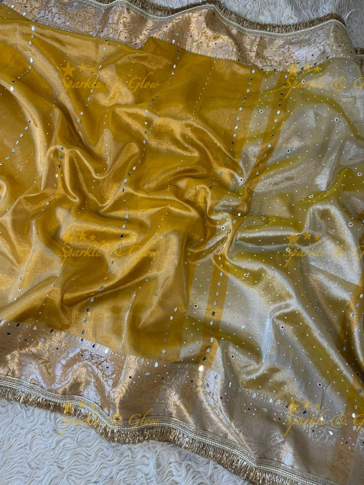 Stunning Banarasi Tissue Saree with Gold Zari & Mirrors