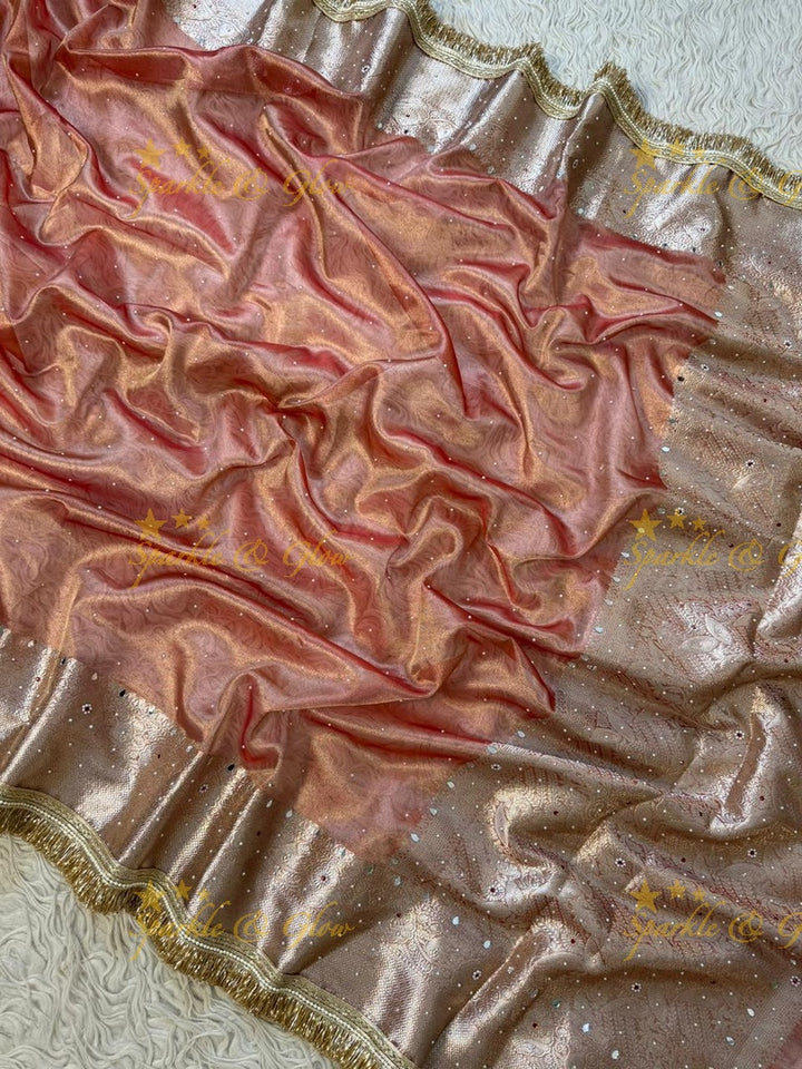 Stunning Banarasi Tissue Saree with Gold Zari & Mirrors