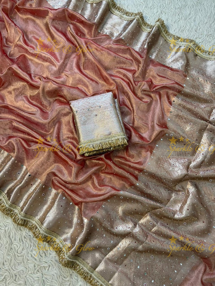Stunning Banarasi Tissue Saree with Gold Zari & Mirrors