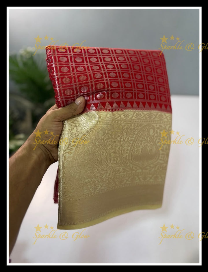 Elegant Banarasi Saree in Tissue Organza - New Arrival