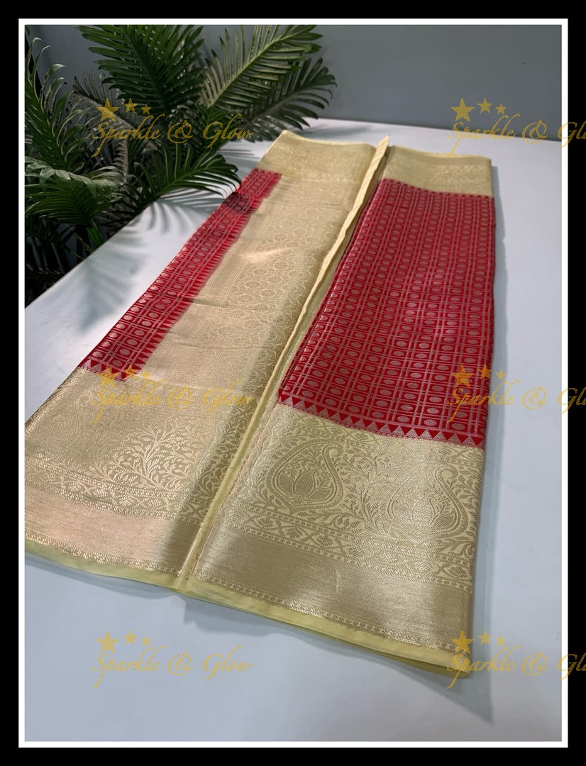 Elegant Banarasi Saree in Tissue Organza - New Arrival