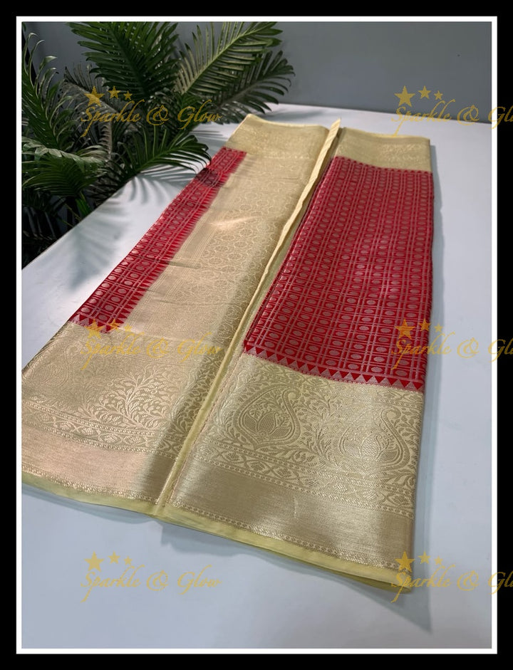 Elegant Banarasi Saree in Tissue Organza - New Arrival