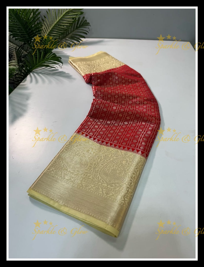 Elegant Banarasi Saree in Tissue Organza - New Arrival