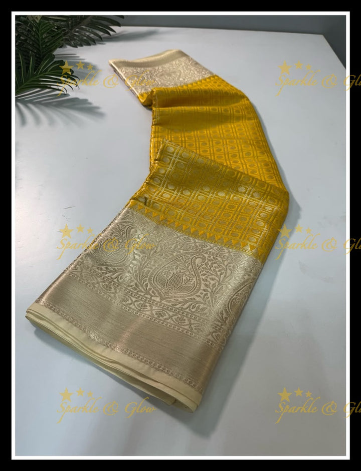 Elegant Banarasi Saree in Tissue Organza - New Arrival