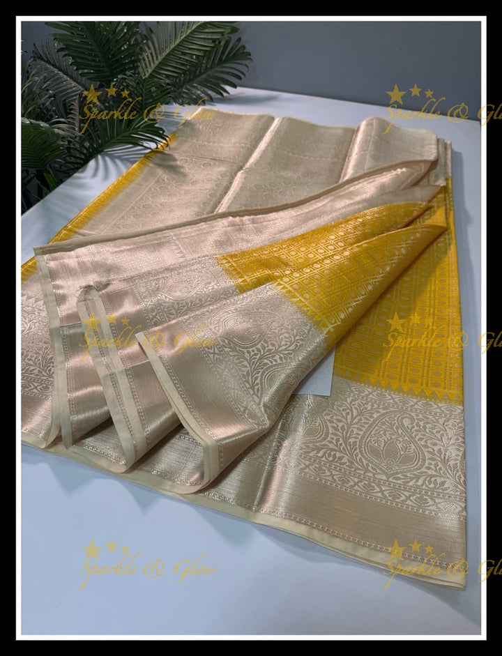 Elegant Banarasi Saree in Tissue Organza - New Arrival