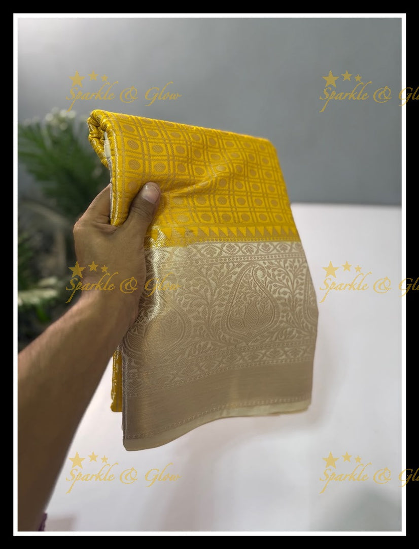 Elegant Banarasi Saree in Tissue Organza - New Arrival