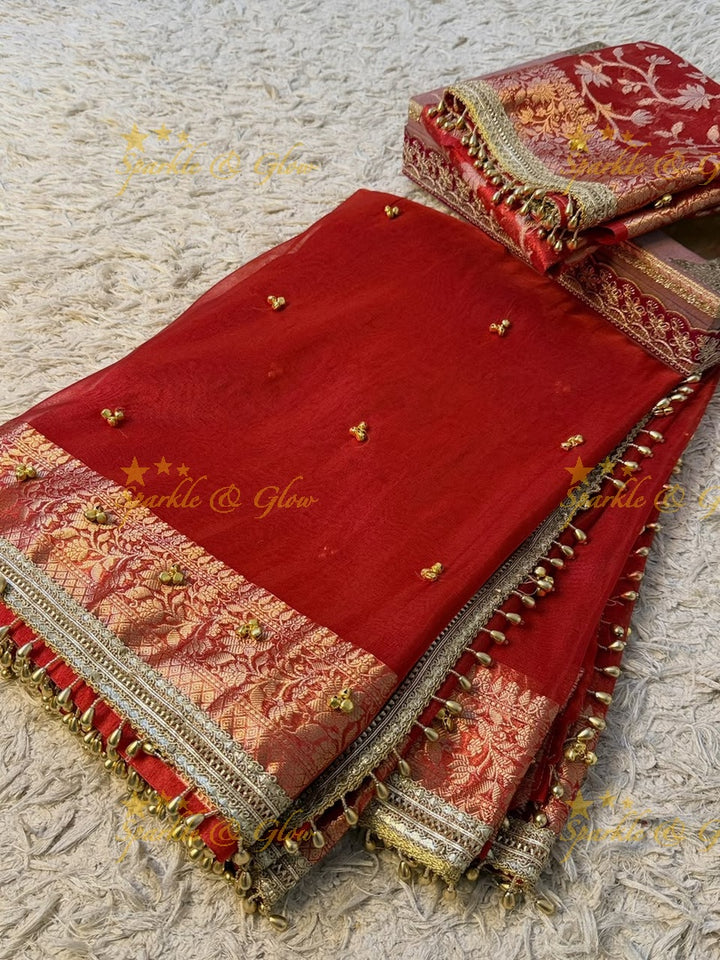 Exquisite Banarasi Tissue Organza Saree with Ghungroo