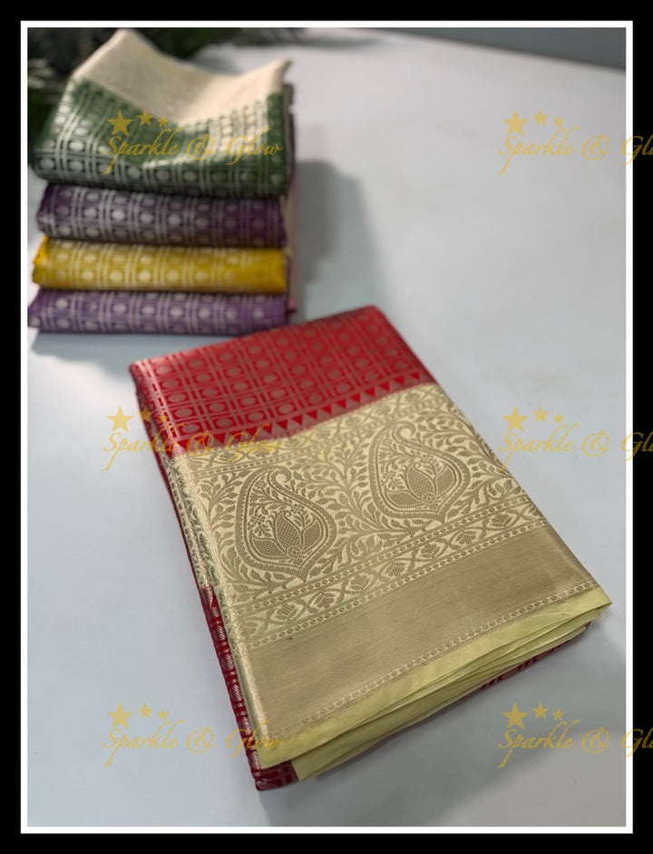 Elegant Banarasi Saree in Tissue Organza - New Arrival